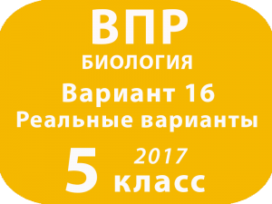 ВПР 2017 г. Биология. 5 класс. Вариант 16 с ответами
