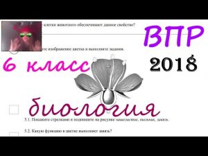 Всероссийская проверочная работа по биологии 6 класс 2018