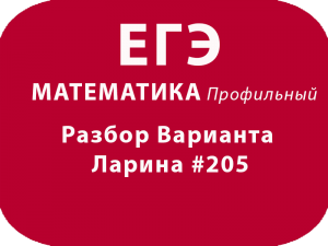 Разбор Варианта ЕГЭ по математике профильный Ларина #205