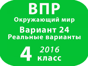 ВПР 2016 г. Окружающий мир. 4 класс. Вариант 24 с ответами